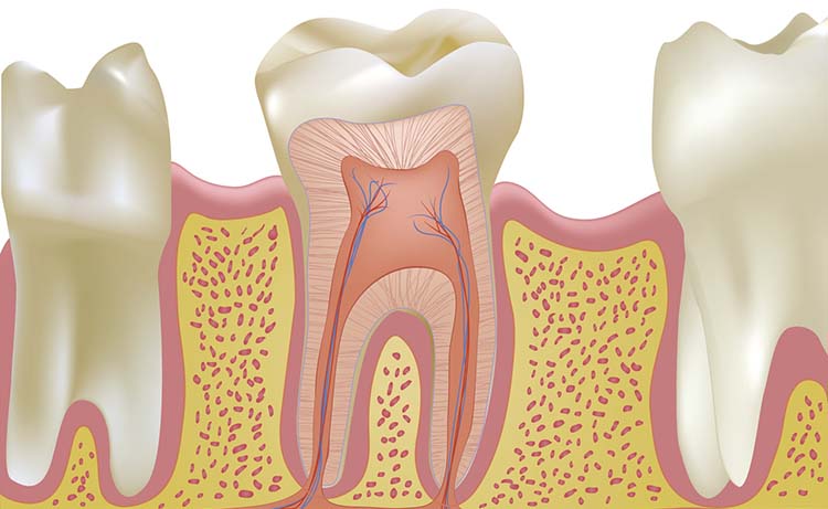 All That You Need to Know About Root Canal Treatment